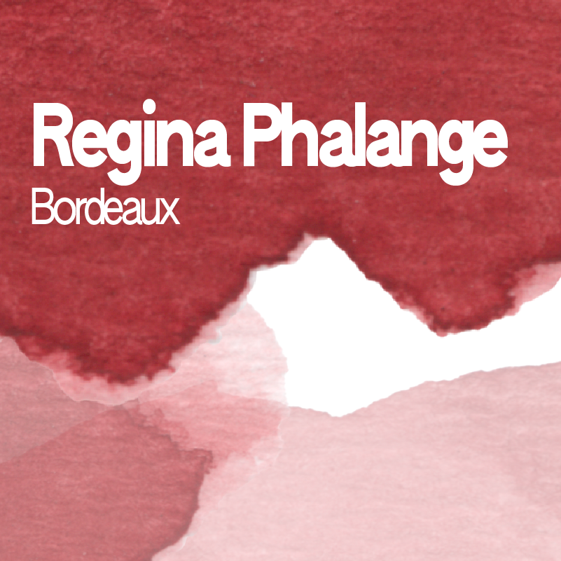 Demi-godet d'aquarelle artisanale individuel - Regina Phalange bordeaux