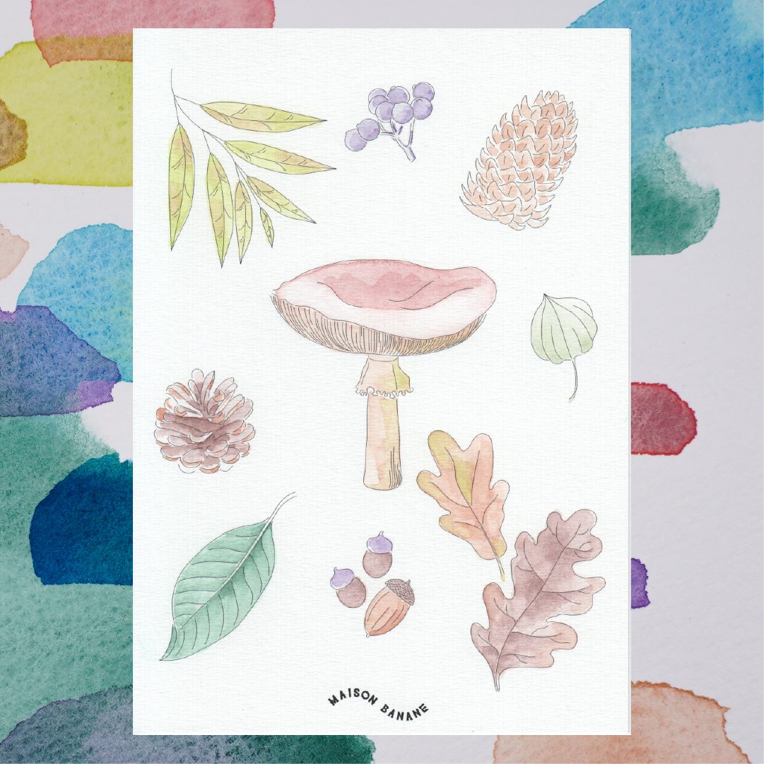 Kit Coloriage d’Aquarelle