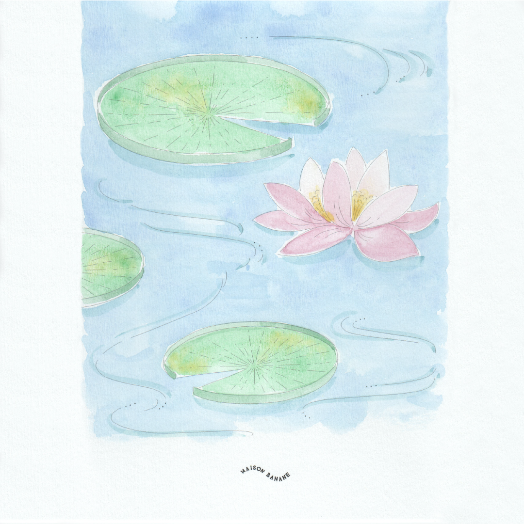 Atelier découverte d’aquarelle - 17.03.2026